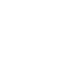icon password
