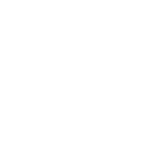 icon password
